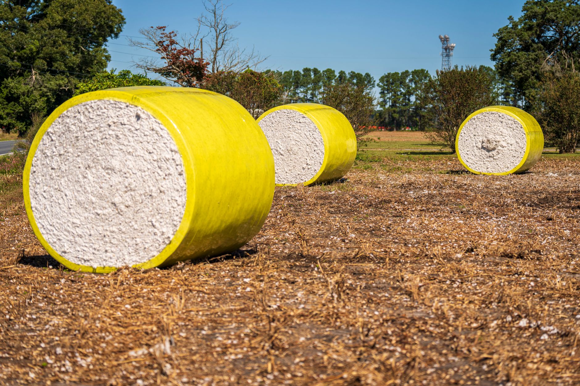 rows of harvested cotton bales wrapped in yellow plastic sitting in a flat open field under a bright afternoon sky