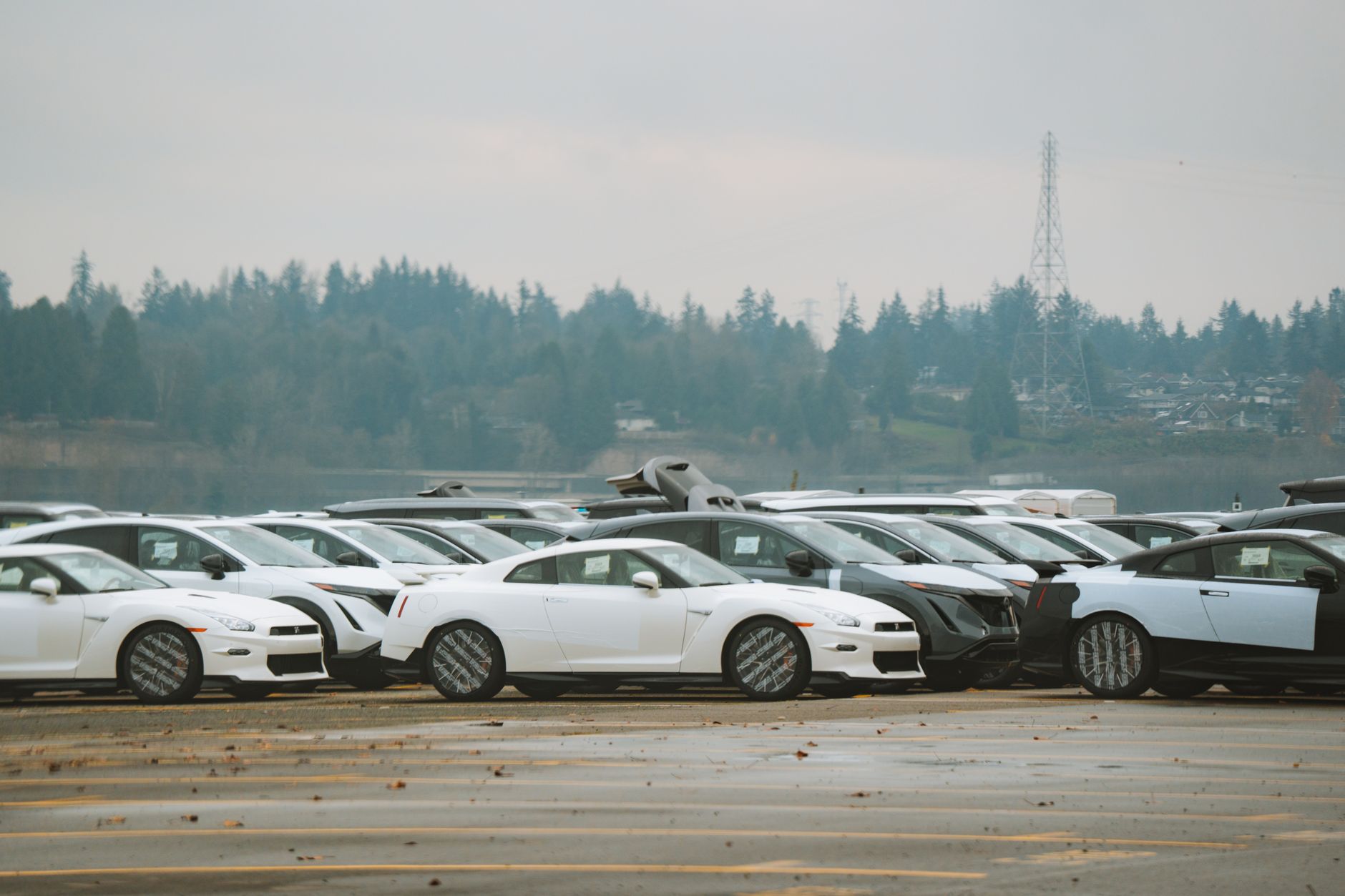 rows of full-size pickup trucks lined up on an outdoor dealer lot under clear midday sky, with no visible signage or branding