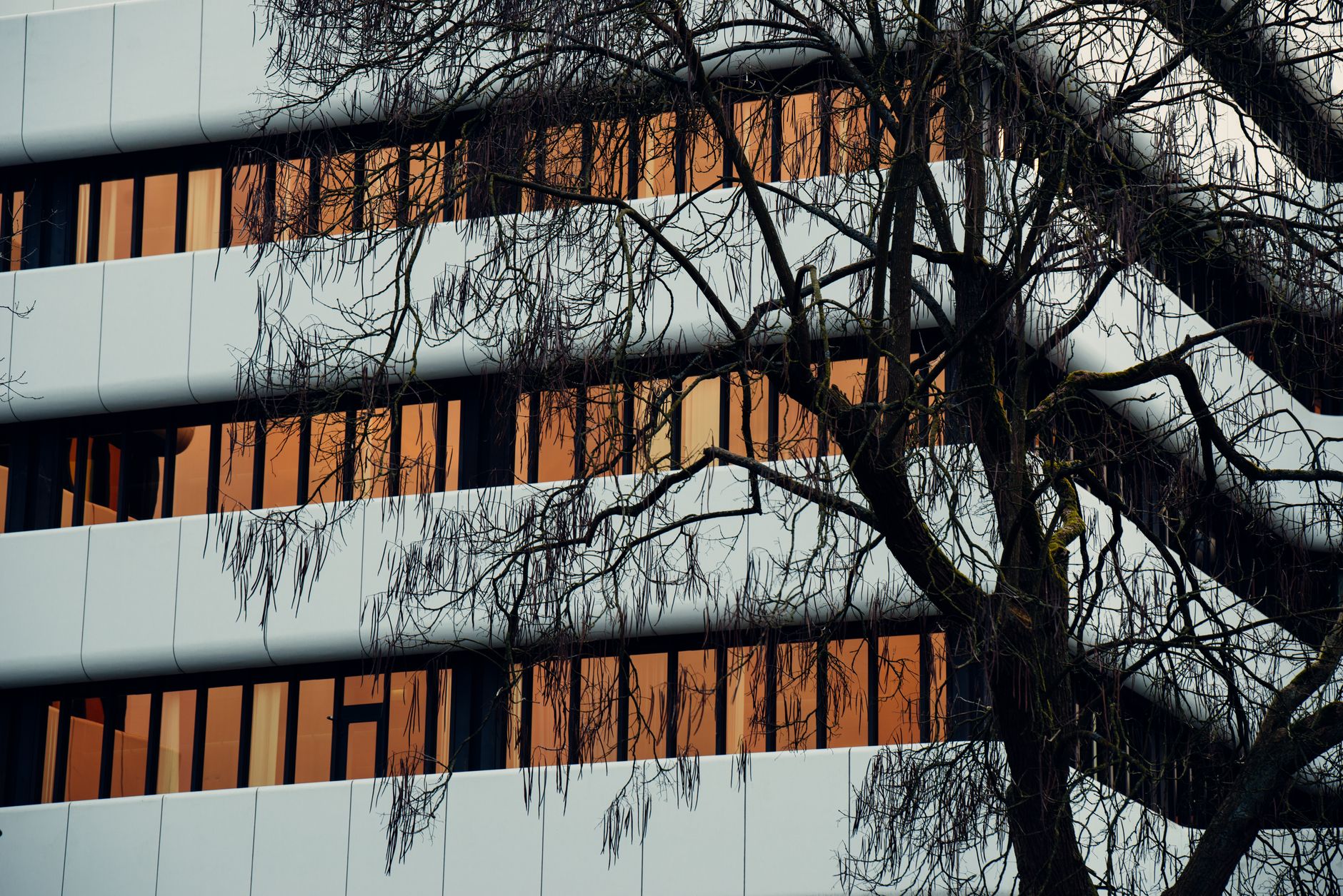 exterior of a glass-fronted commercial office building in Frankfurt's financial district on an overcast winter morning, with bare trees lining the pavement