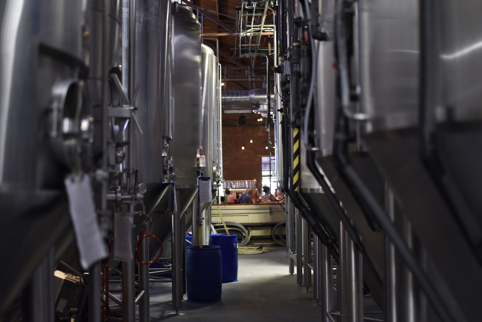 rows of stainless steel bioreactor tanks inside a modern biotechnology fermentation facility, softly lit by overhead industrial lighting