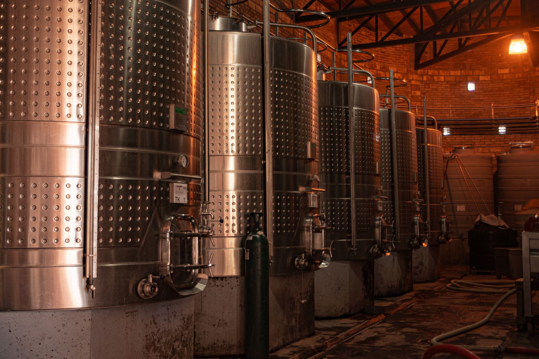 close-up of stainless steel bioreactor vessels inside a modern fermentation facility, illuminated by bright overhead industrial lighting