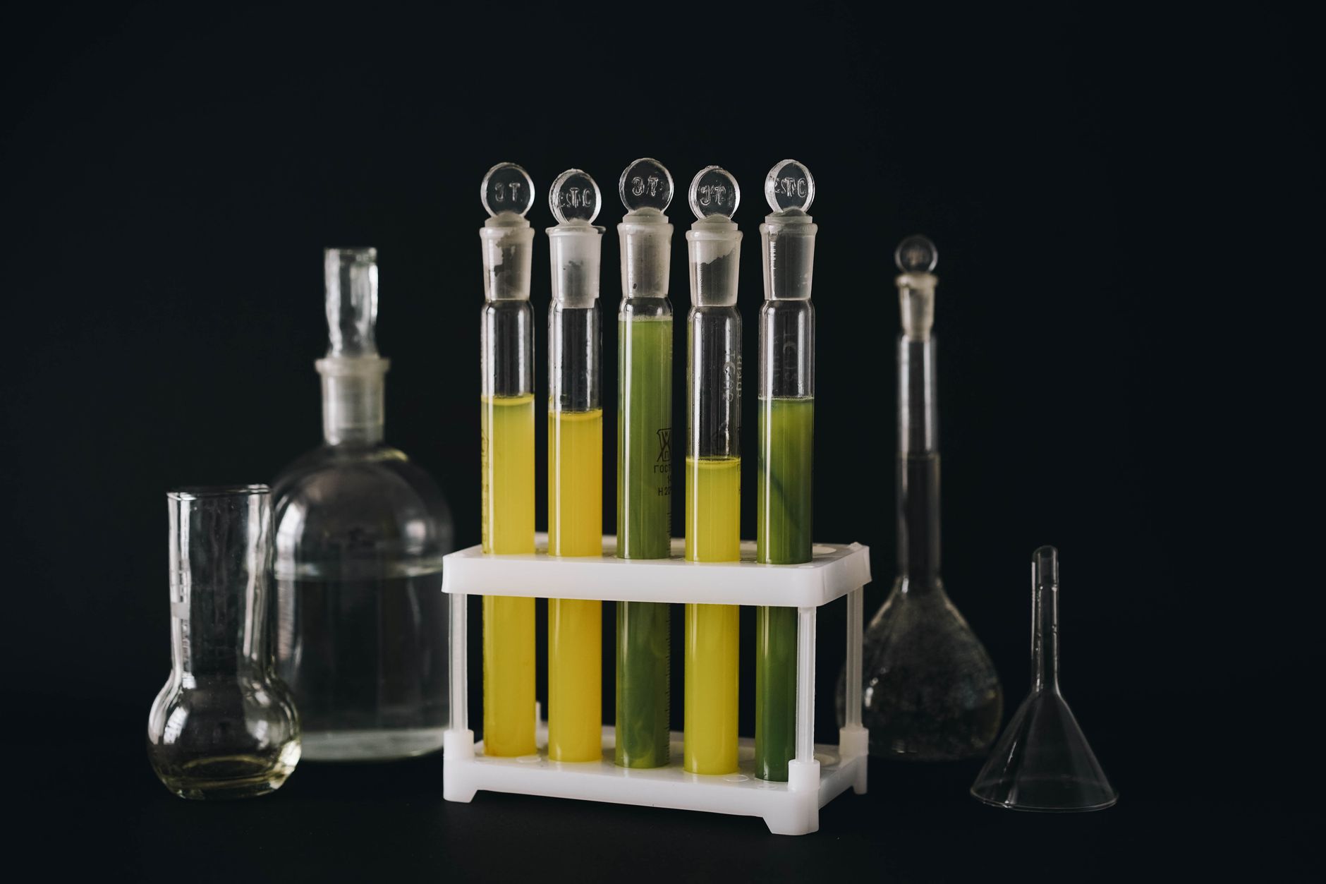 rows of laboratory culture flasks containing pale amber liquid on a rotary shaker inside a biosafety cabinet, with scientific equipment visible in the background