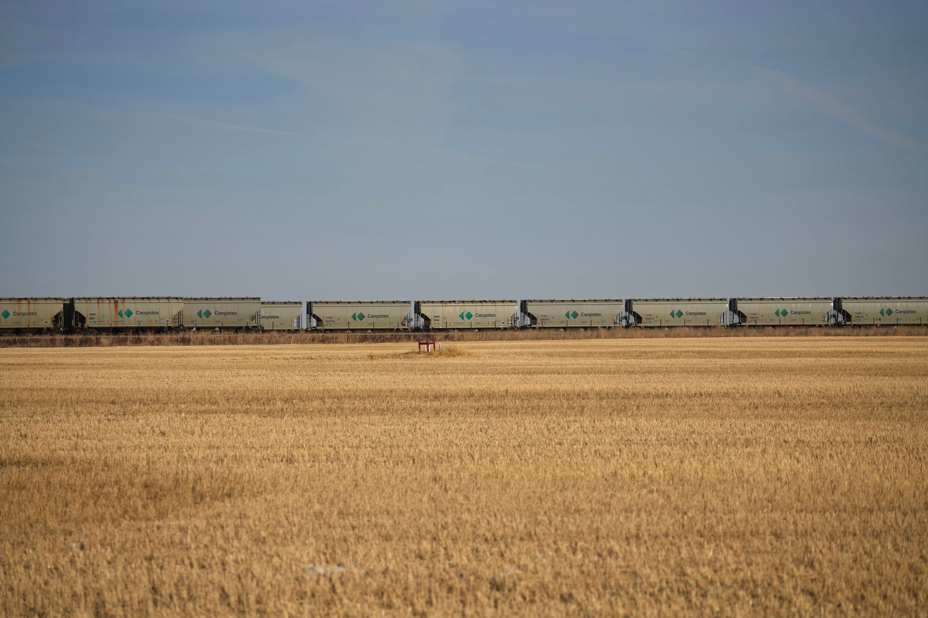 long freight train carrying intermodal containers moving through a flat agricultural landscape at golden hour