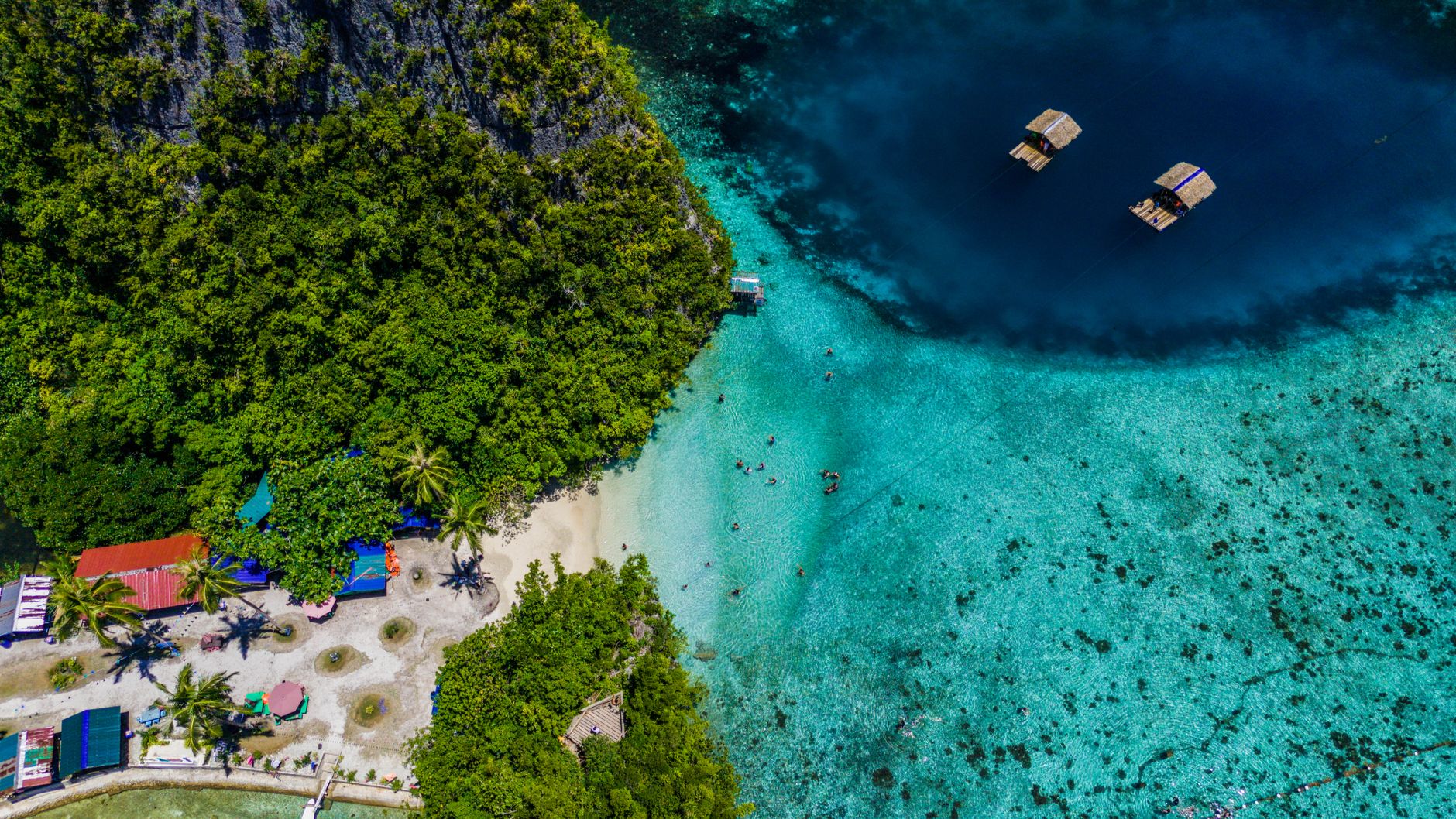 an aerial view of a remote tropical island coastline with clear shallow water and dense palm-lined shores, no visible infrastructure or people