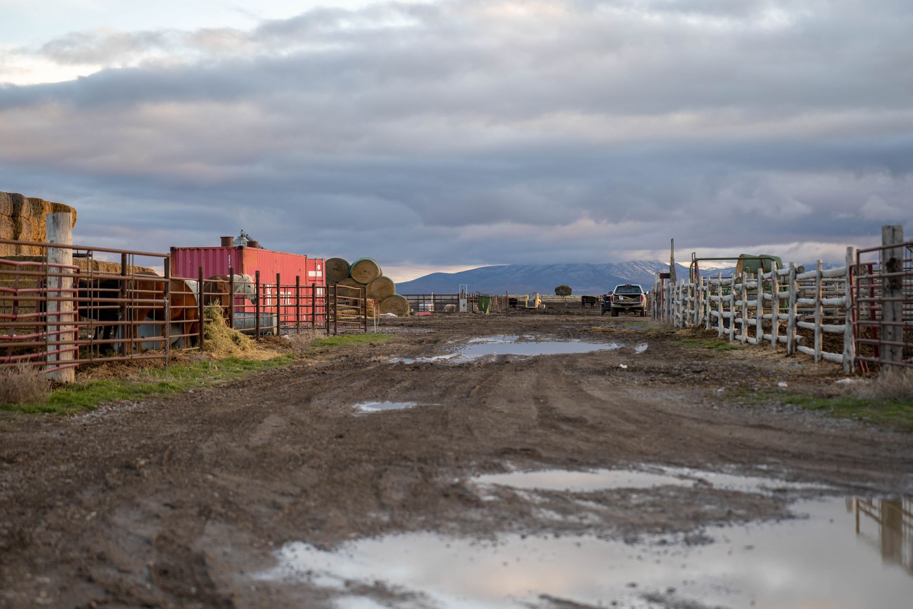 exterior of a wide-horizon cattle ranch at dusk, with fencing stretching across dry grassland and a water tower visible in the background