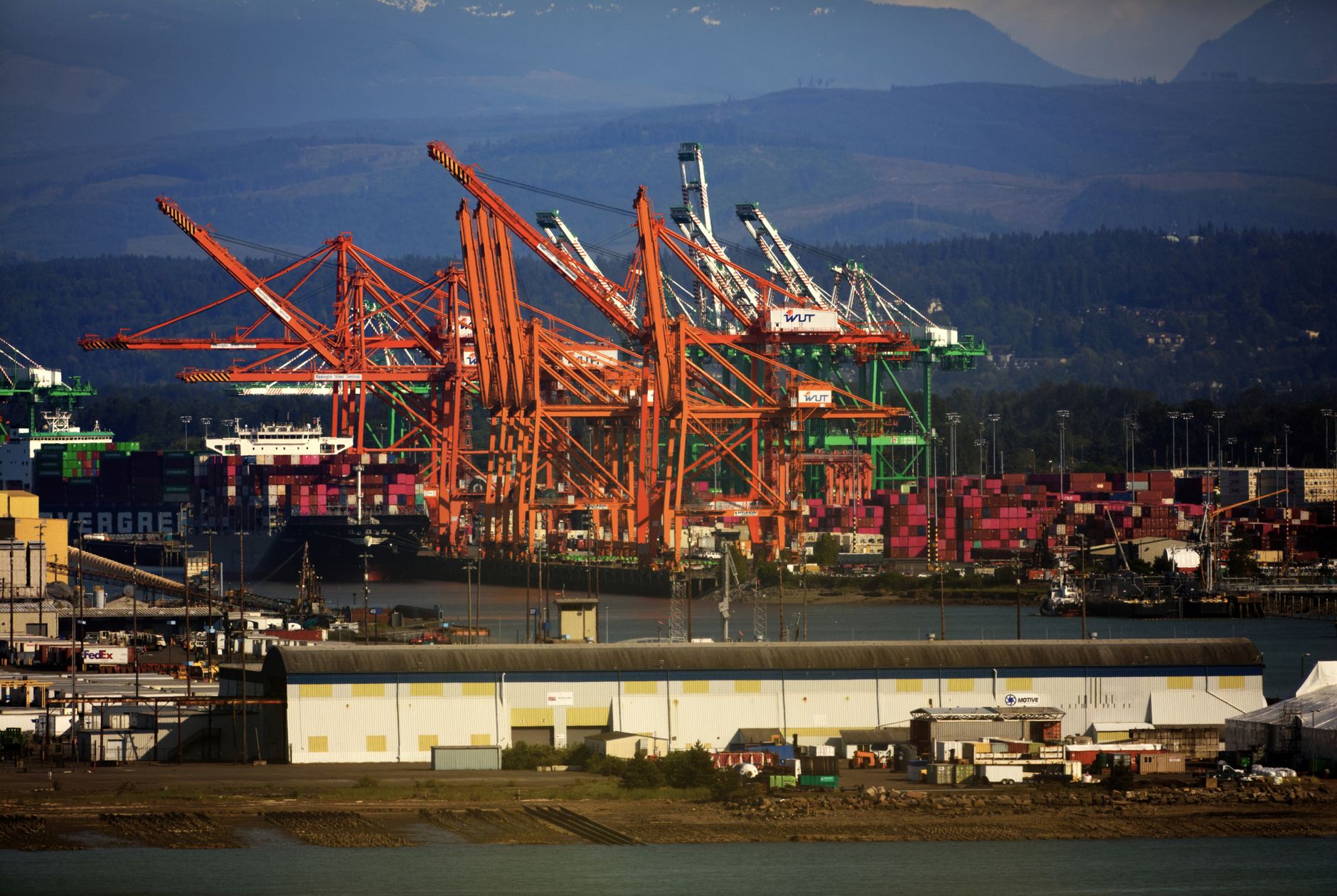 rows of cargo containers stacked at a busy international port terminal with cranes visible along the waterfront