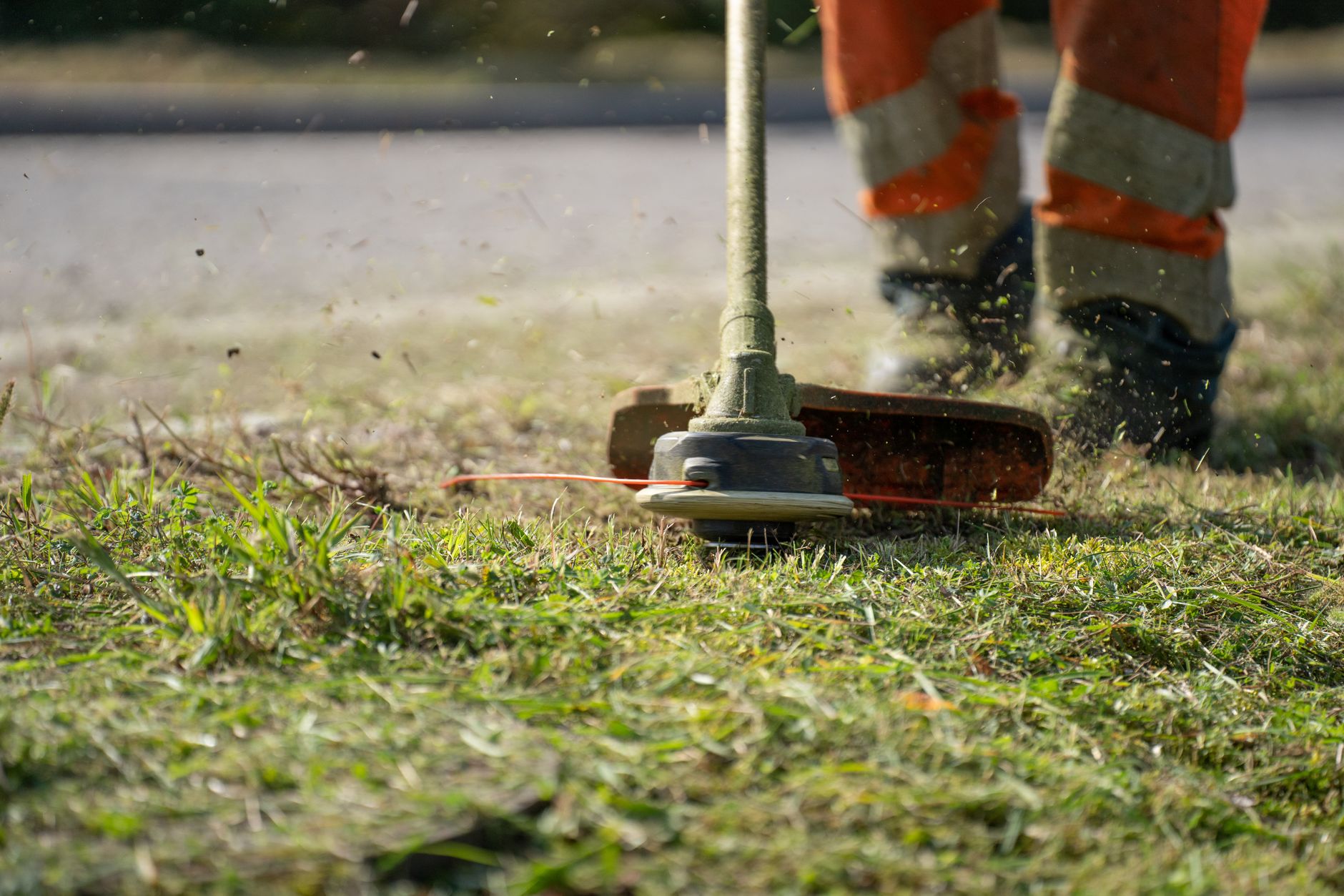 close-up of a suburban front lawn with neatly trimmed grass edging a concrete driveway on a sunny afternoon