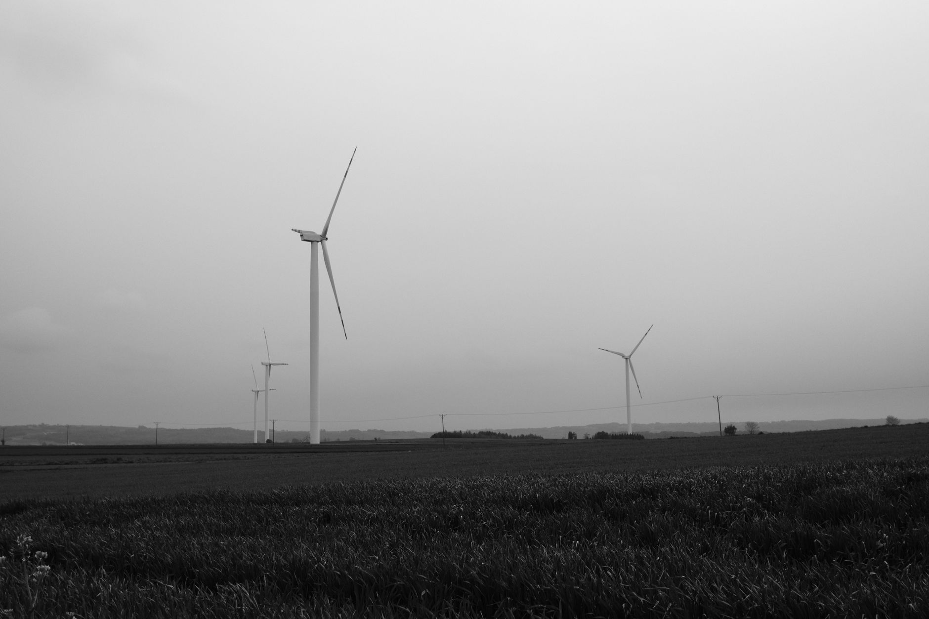 rows of wind turbines across a flat eastern German agricultural landscape under overcast skies