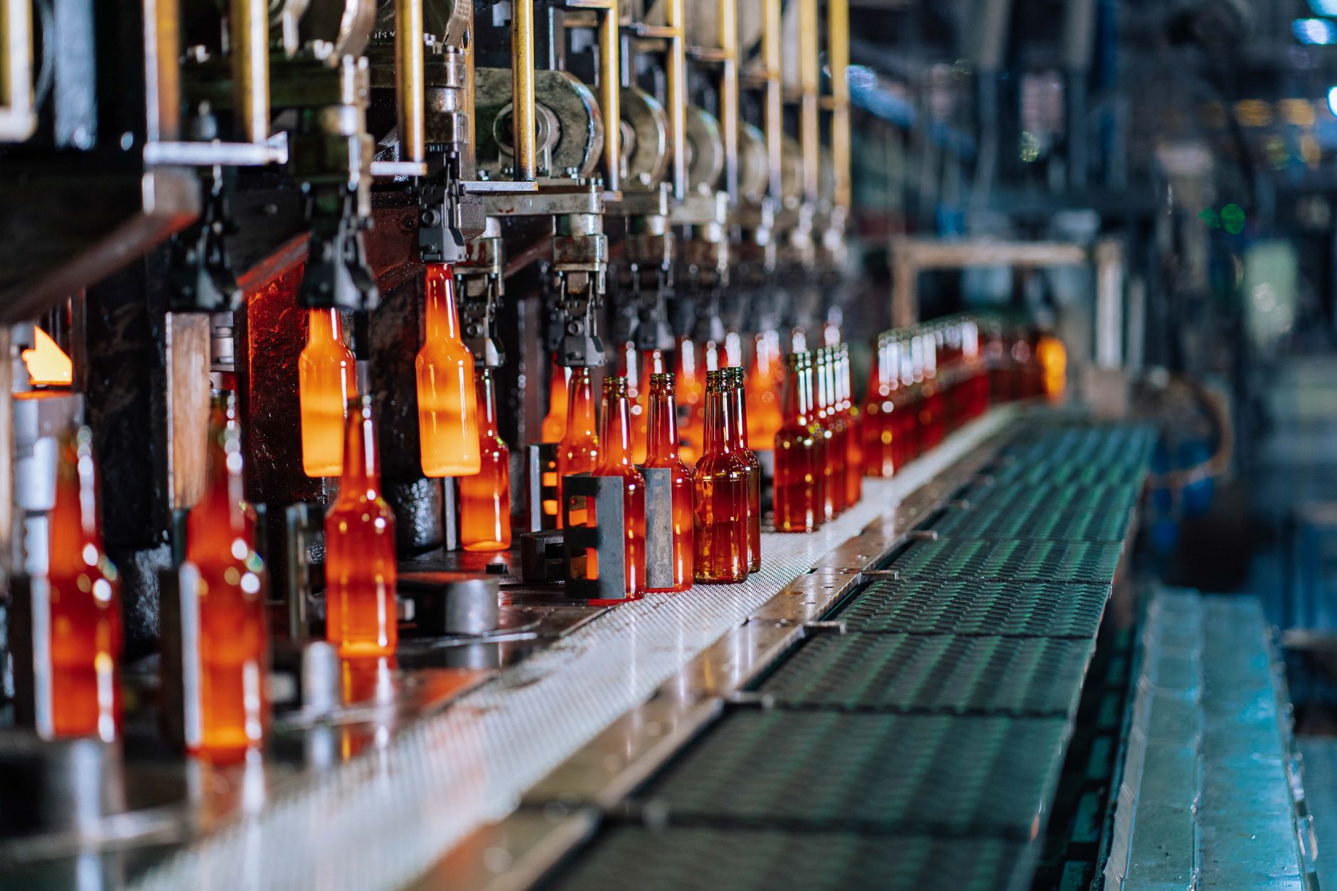 rows of glass bottles on an automated bottling line inside a beverage manufacturing facility
