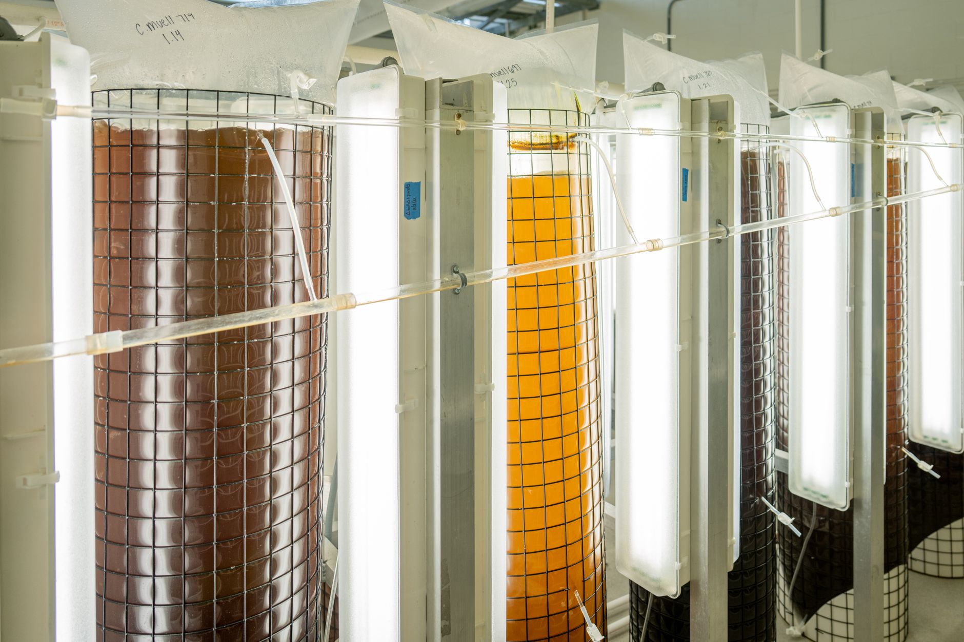 rows of advanced semiconductor fabrication equipment inside a cleanroom facility, illuminated by yellow and white fluorescent lighting with reflective surfaces throughout