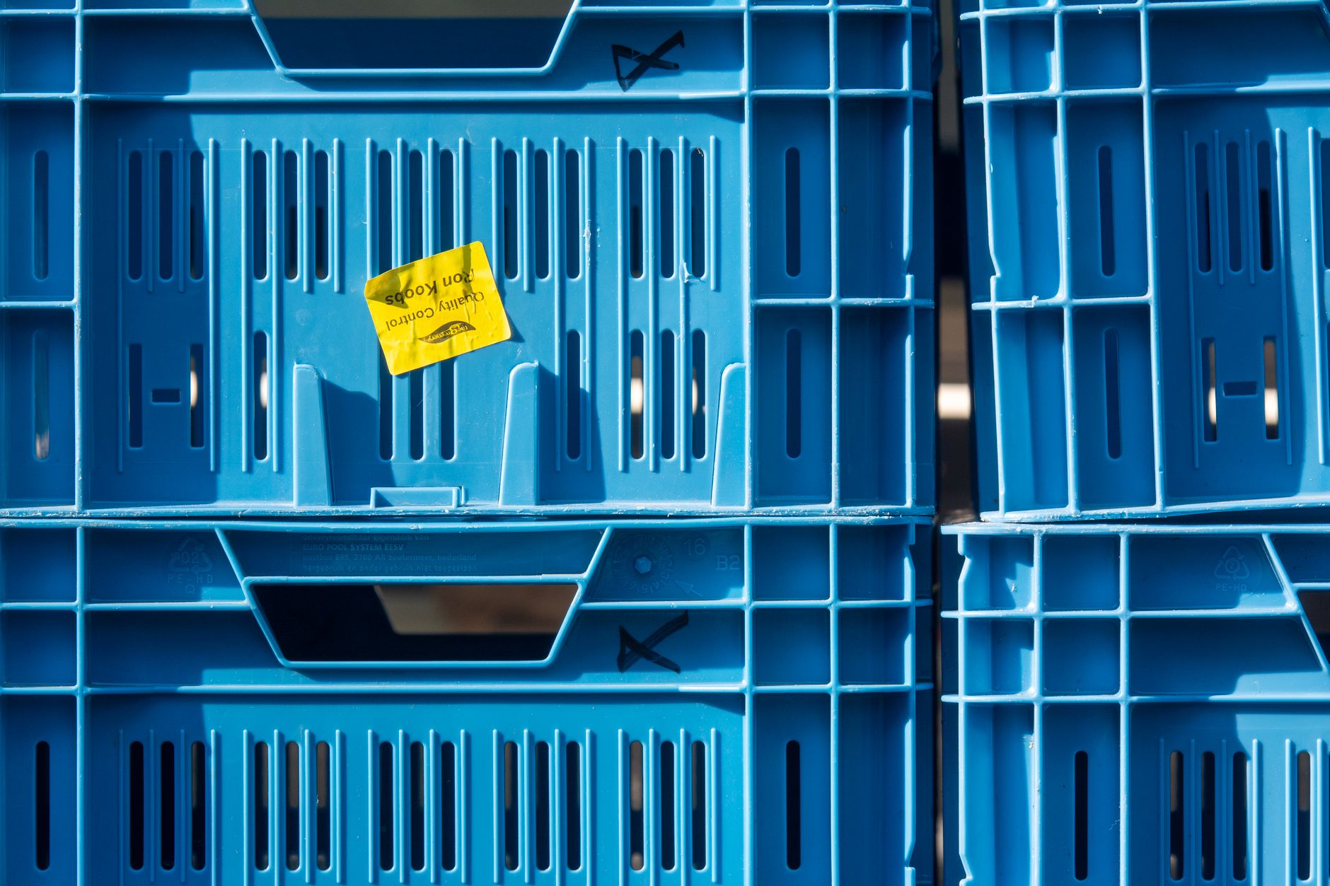interior of a regional cold-storage distribution facility in rural China, rows of temperature-controlled units stacked with crates of grain and packaged produce under fluorescent lighting