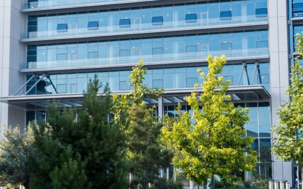 FDA Clears DreaMed’s Insulin-Dosing App, Marking a Regulatory Milestone for Israeli Digital Health