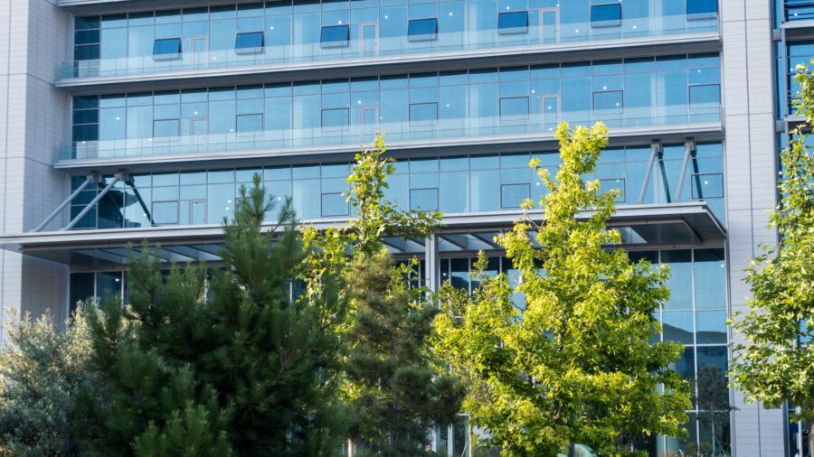 FDA Clears DreaMed’s Insulin-Dosing App, Marking a Regulatory Milestone for Israeli Digital Health