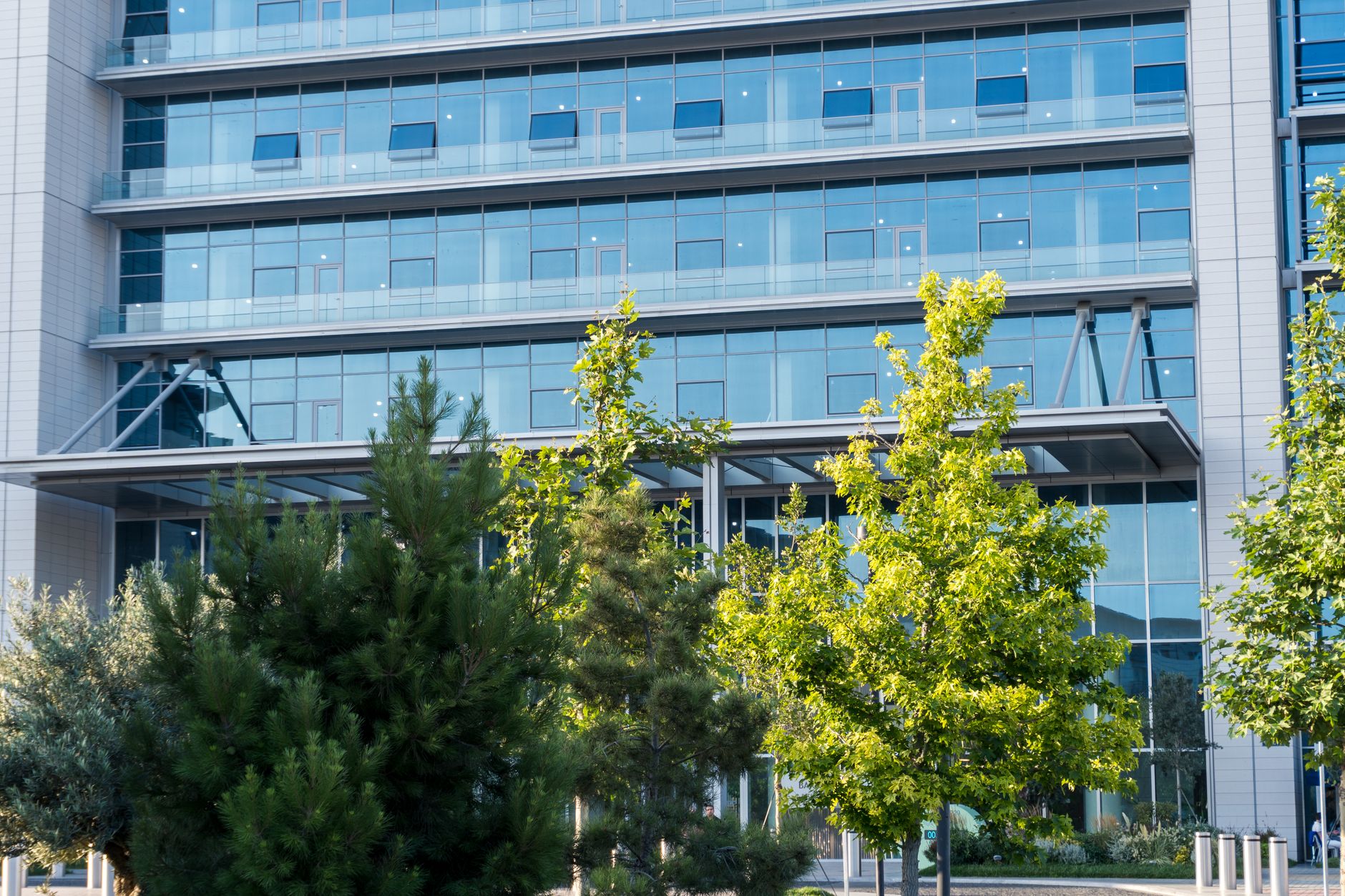 exterior of a modern medical technology office building in an Israeli business district at midday, with glass facades reflecting surrounding greenery
