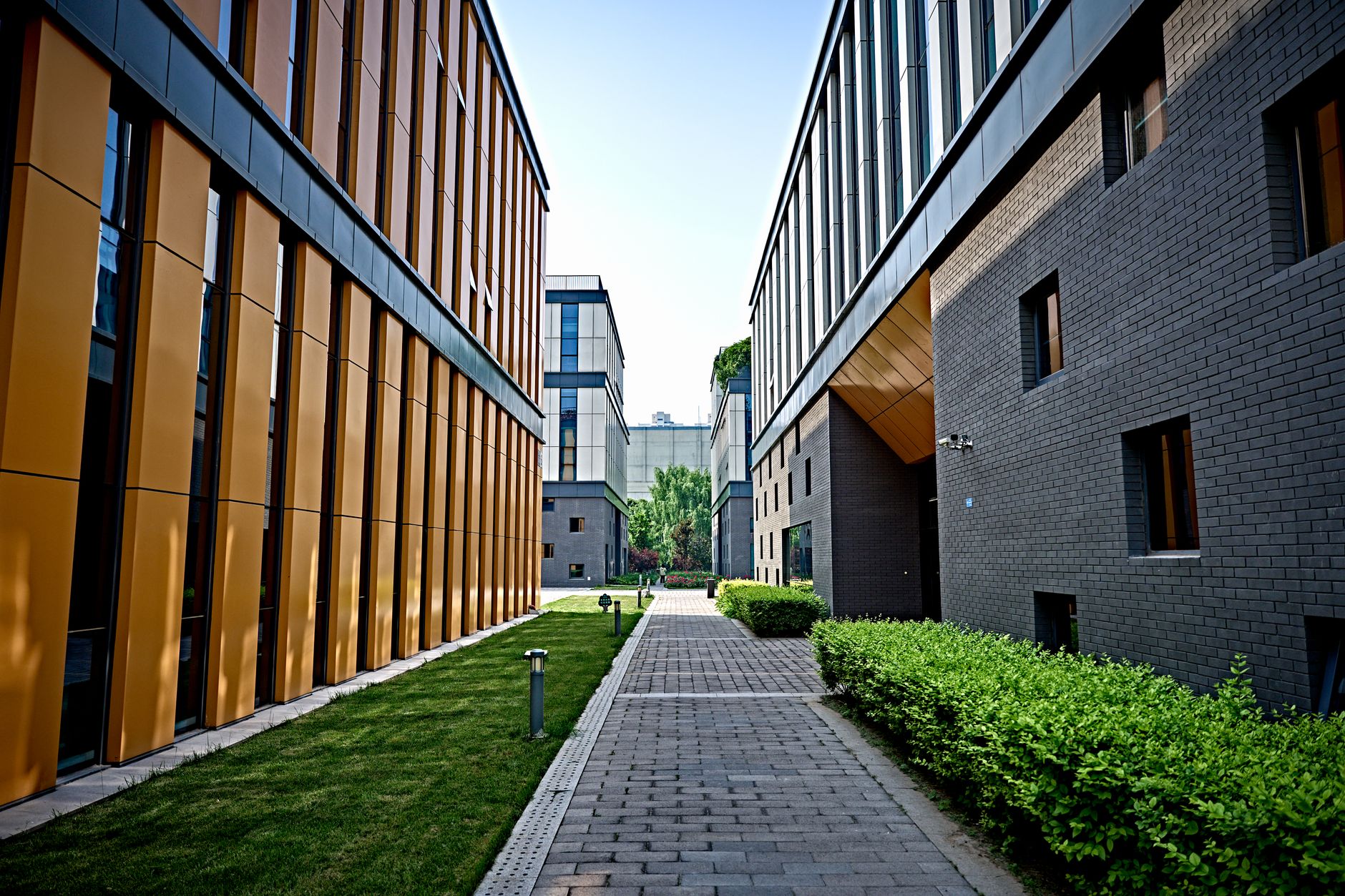 exterior of a modern pharmaceutical research campus in Shanghai with glass-facade laboratory buildings and a landscaped forecourt at midday