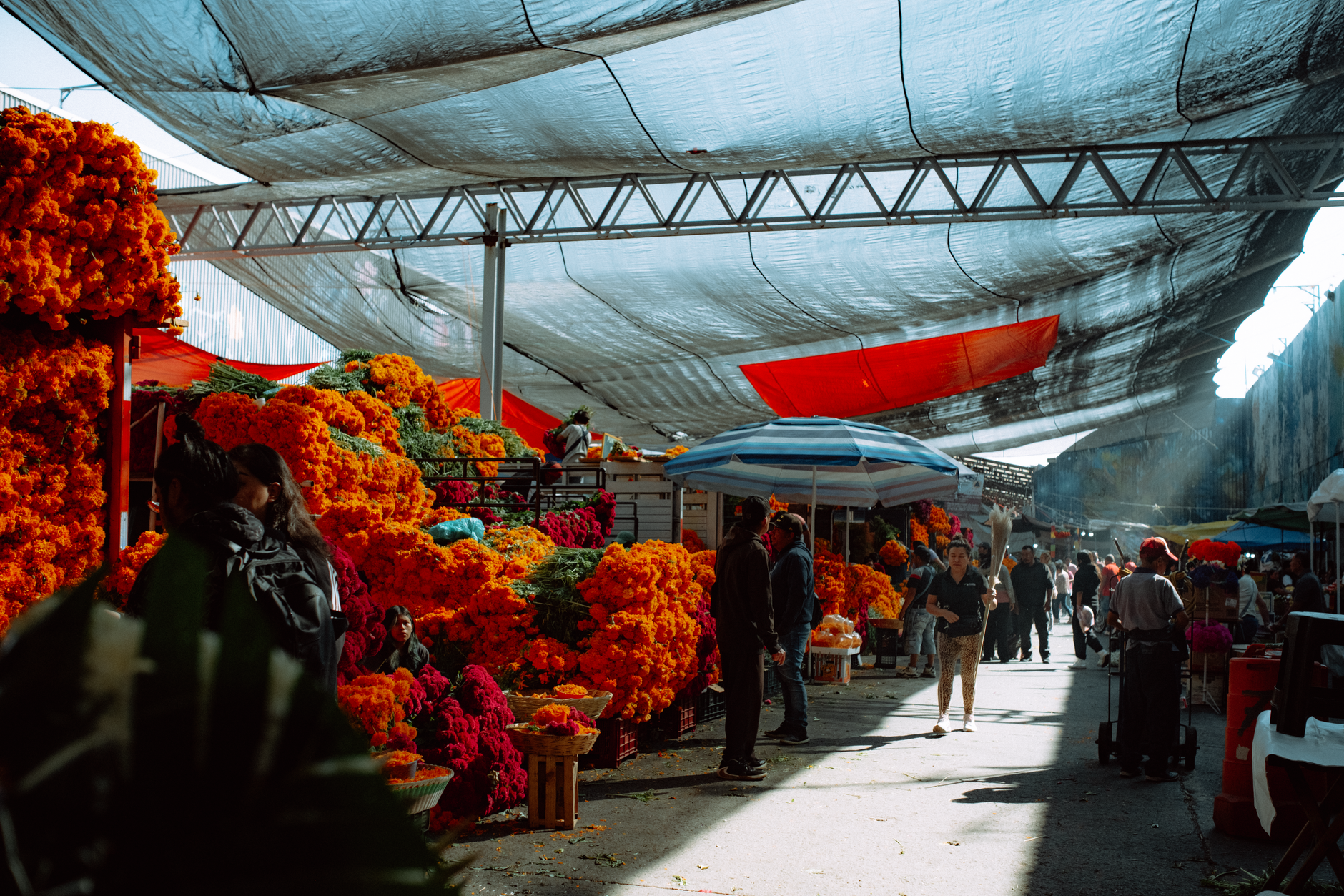 rows of empty market vendor stalls inside a covered Latino mercado, folding tables bare and lighting fixtures switched off in the early morning