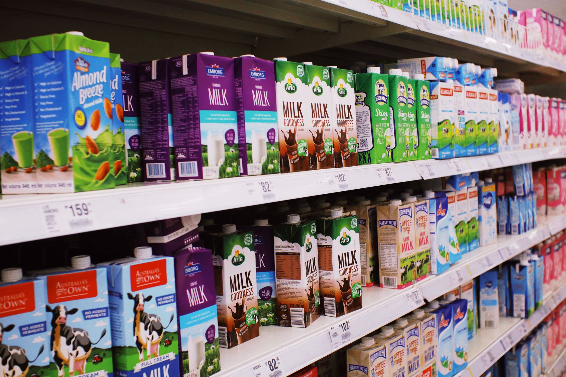supermarket refrigerated aisle stocked with egg cartons under bright fluorescent lighting, price tags visible on shelving labels