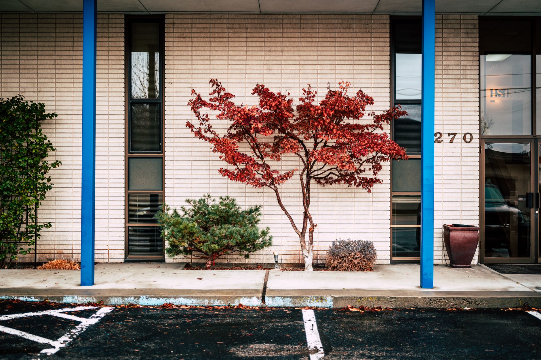 exterior of a mid-century brick bank branch building on a quiet suburban street corner, with an ATM visible through a glass panel and autumn leaves on the sidewalk