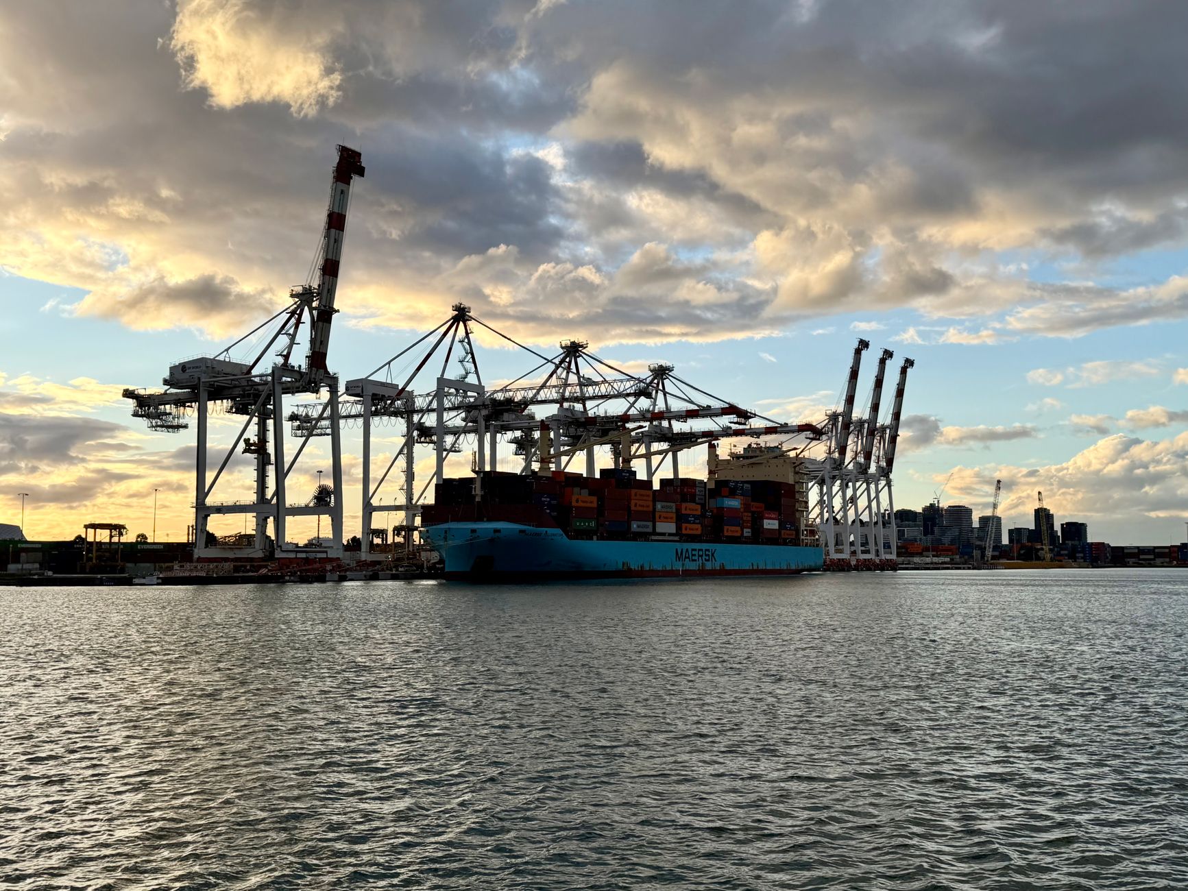 cargo containers stacked at a major deep-water port terminal, overhead cranes visible against an early morning sky