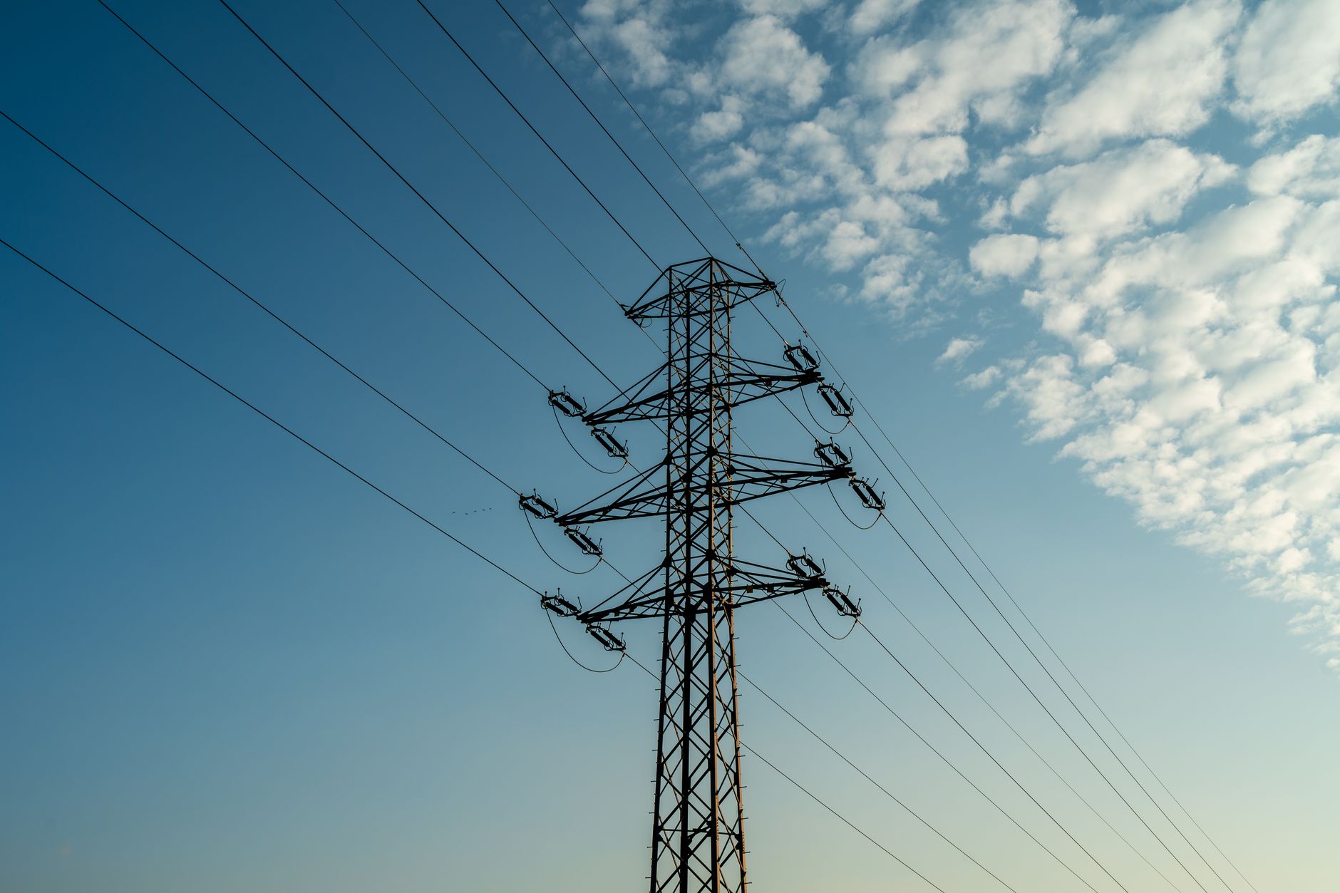 aerial view of high-voltage electrical transmission towers stretching across a flat, wooded landscape in southeastern Texas at golden hour