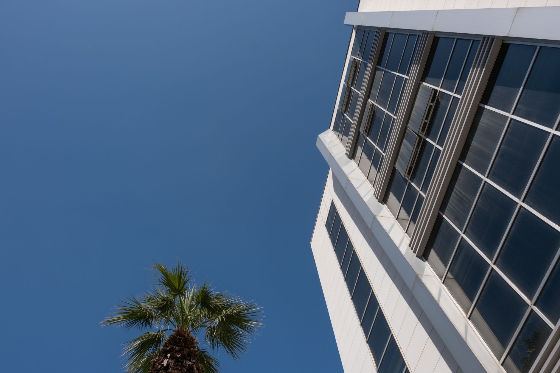 exterior of a glass-fronted Silicon Valley venture capital office building at dusk, with palm trees visible along the street